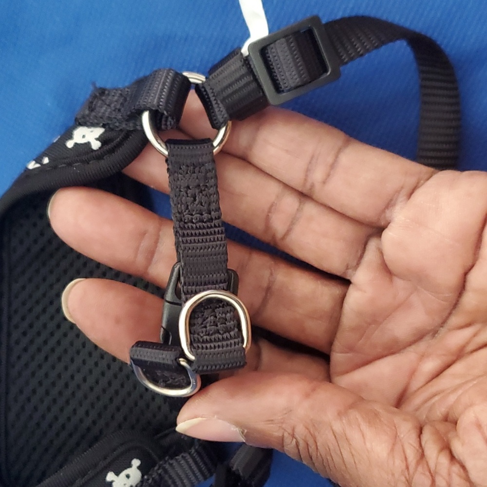 Harness - Picture 5 of 7